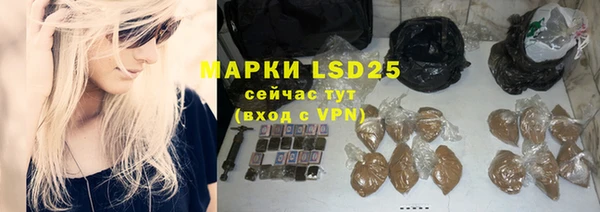 гидра Гусев