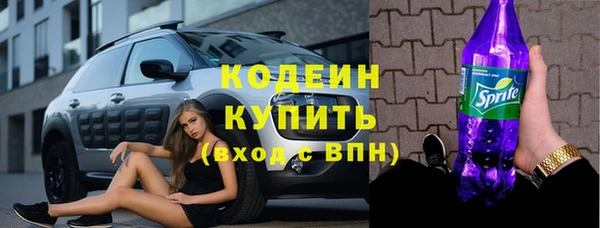 гидра Гусев