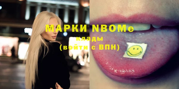 гидра Гусев