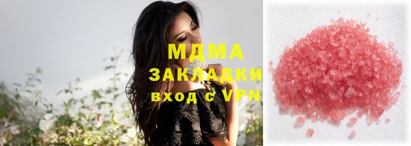 гидра Гусев