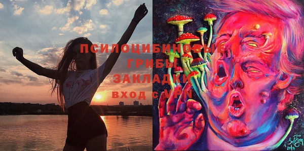 винт Гусиноозёрск