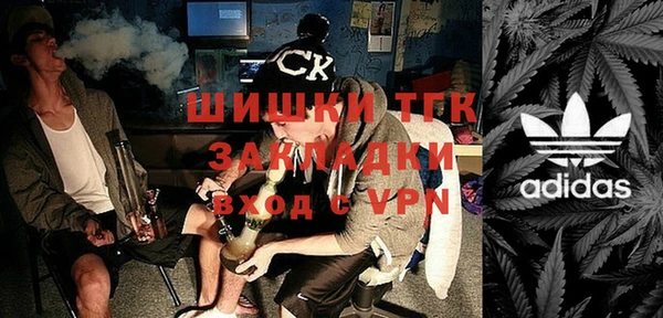 гидра Гусев