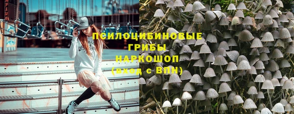 гидра Гусев