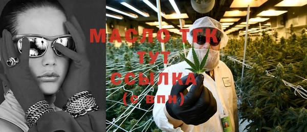 гидра Гусев
