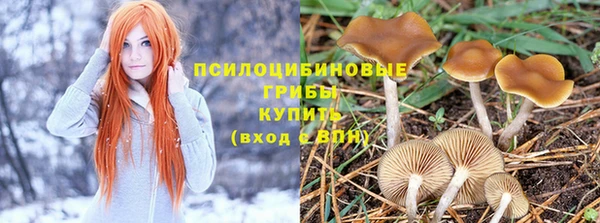 дмт Гусь-Хрустальный