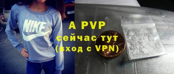 винт Гусиноозёрск