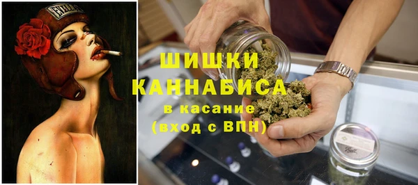 винт Гусиноозёрск