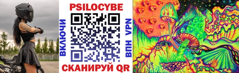 Псилоцибиновые грибы Cubensis  Калтан 